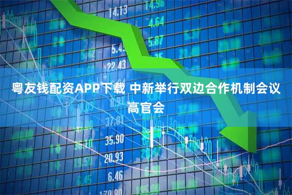 粤友钱配资APP下载 中新举行双边合作机制会议高官会