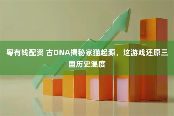 粤有钱配资 古DNA揭秘家猫起源，这游戏还原三国历史温度